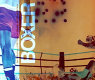 Boxer : an anthology of writings on boxing and visual culture /