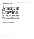 American drawings in the Art Museum. Princeton University : 130 selected examples : [exhibition] /