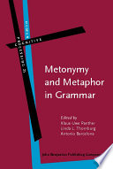 Metonymy and metaphor in grammar /