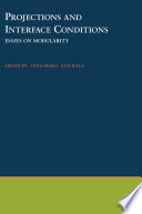 Projections and interface conditions : essays on modularity /