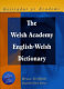 The Welsh Academy English-Welsh dictionary : Geiriadur yr Academi /