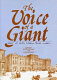 The voice of a giant : essays on seven Russian prose classics /
