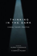 Thinking in the dark : cinema, theory, practice /