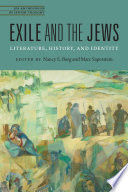 Exile and the Jews : literature, history, and identity /