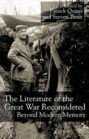 The literature of the Great War reconsidered : beyond modern memory /