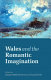 Wales and the romantic imagination /
