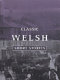 Classic Welsh short stories /