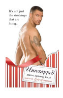 Unmasked : erotic tales of gay superheroes /
