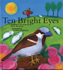 Ten bright eyes : a retelling of Judy Hindley's Ten bright eyes /
