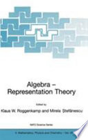 Algebra, representation theory /