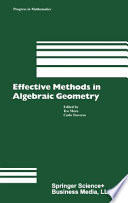 Effective methods in algebraic geometry /