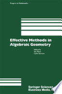 Effective methods in algebraic geometry /