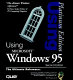 Using Windows 95 : Platinum edition /