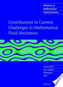 Contributions to current challenges in mathematical fluid mechanics /