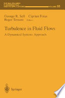 Turbulence in fluid flows : a dynamical systems approach /