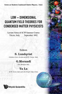 Low-dimensional quantum field theories for condensed matter physicists : lecture notes of ICTP Summer Course, Trieste, Italy, September 1992 /