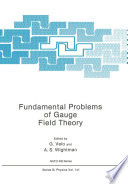 Fundamental problems of gauge field theory /