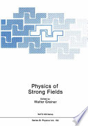 Physics of strong fields /