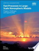 Fast processes in large scale atmospheric models : progress, challenges, and opportunities /