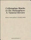 Collisionless shocks in the heliosphere : reviews of current research /