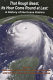 That rough beast, its hour come round at last : the history of Hurricane Katrina /