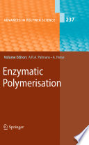 Enzymatic polymerisation /