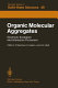 Organic molecular aggregates : electronic excitation and interaction processes : Proceedings of the International Symposium on Organic Materials at Schloss Elmau, Bavaria June 5-10,1983 /