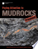 Paying attention to mudrocks : priceless! /