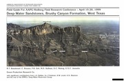 Field guide for AAPG Hedberg Field Research Conference : deep-water sandstones, Brushy Canyon Formation, West Texas, April 15-20, 1999 /