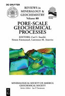 Pore-scale geochemical processes /