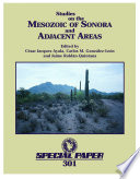 Studies on the Mesozoic of Sonora and adjacent areas /