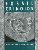 Fossil crinoids /