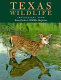 Texas wildlife : photographs from Texas parks & wildlife magazine /