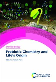 Prebiotic chemistry and life's origin /