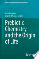 Prebiotic Chemistry and the Origin of Life /
