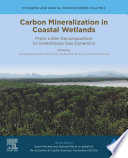 Carbon mineralization in coastal wetlands : from litter decomposition to greenhouse gas dynamics /