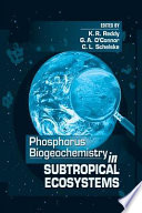 Phosphorus biogeochemistry in subtropical ecosystems /