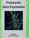 Prokaryotic gene expression /