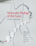 Molecular biology of the gene /