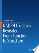 NADPH Oxidases Revisited: From Function to Structure /