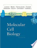 Molecular cell biology /