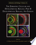 Zebrafish : cellular and developmental biology.