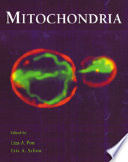 Mitochondria /