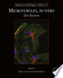 Microtubules, in vitro /