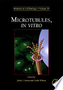 Microtubules, in vitro /