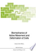 Biomechanics of active movement and deformation of cells /
