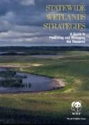 Statewide wetlands strategies : a guide to protecting and managing the resource /