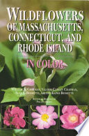 Wildflowers of Massachusetts, Connecticut, and Rhode Island in color /