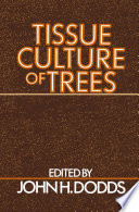 Tissue culture of trees /