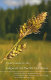 Field guide to the Sedges of the Pacific Northwest / by Barbara L. Wilson ... [et al.].